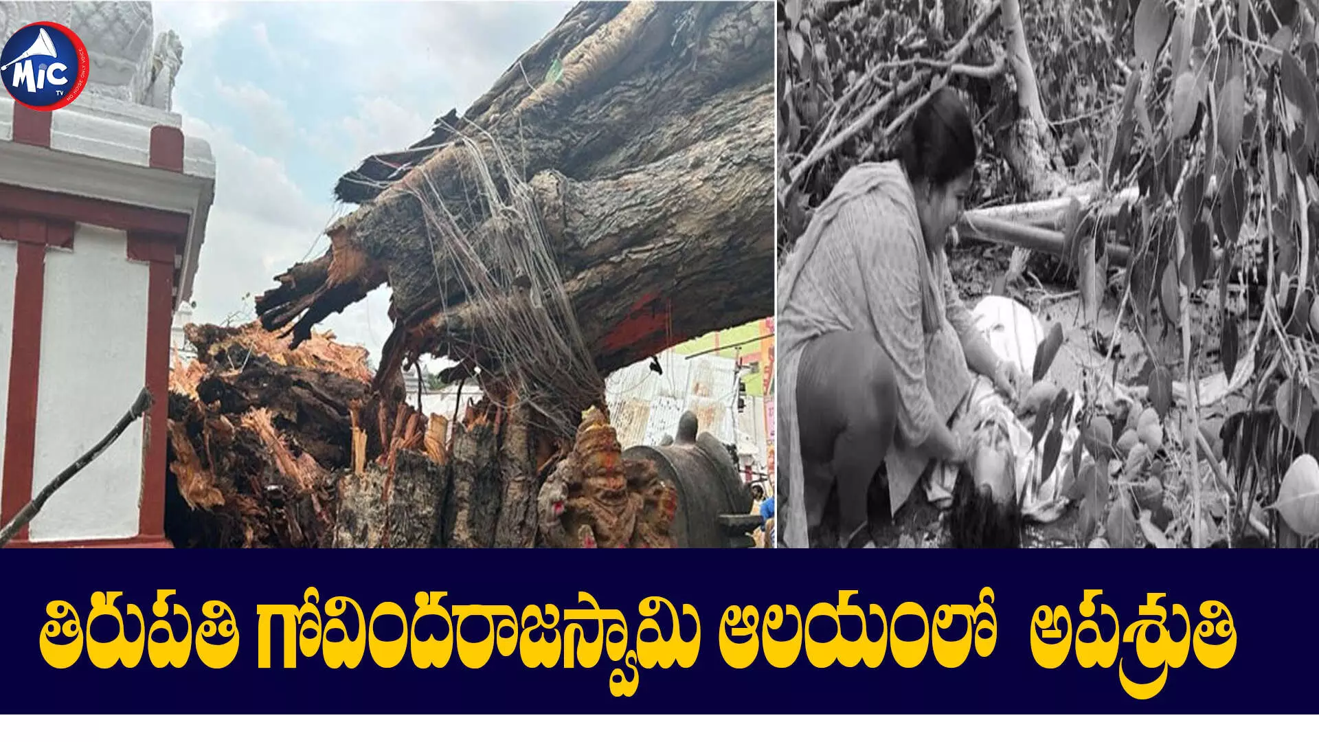 తిరుపతి గోవిందరాజస్వామి ఆలయంలో అపశ్రుతి