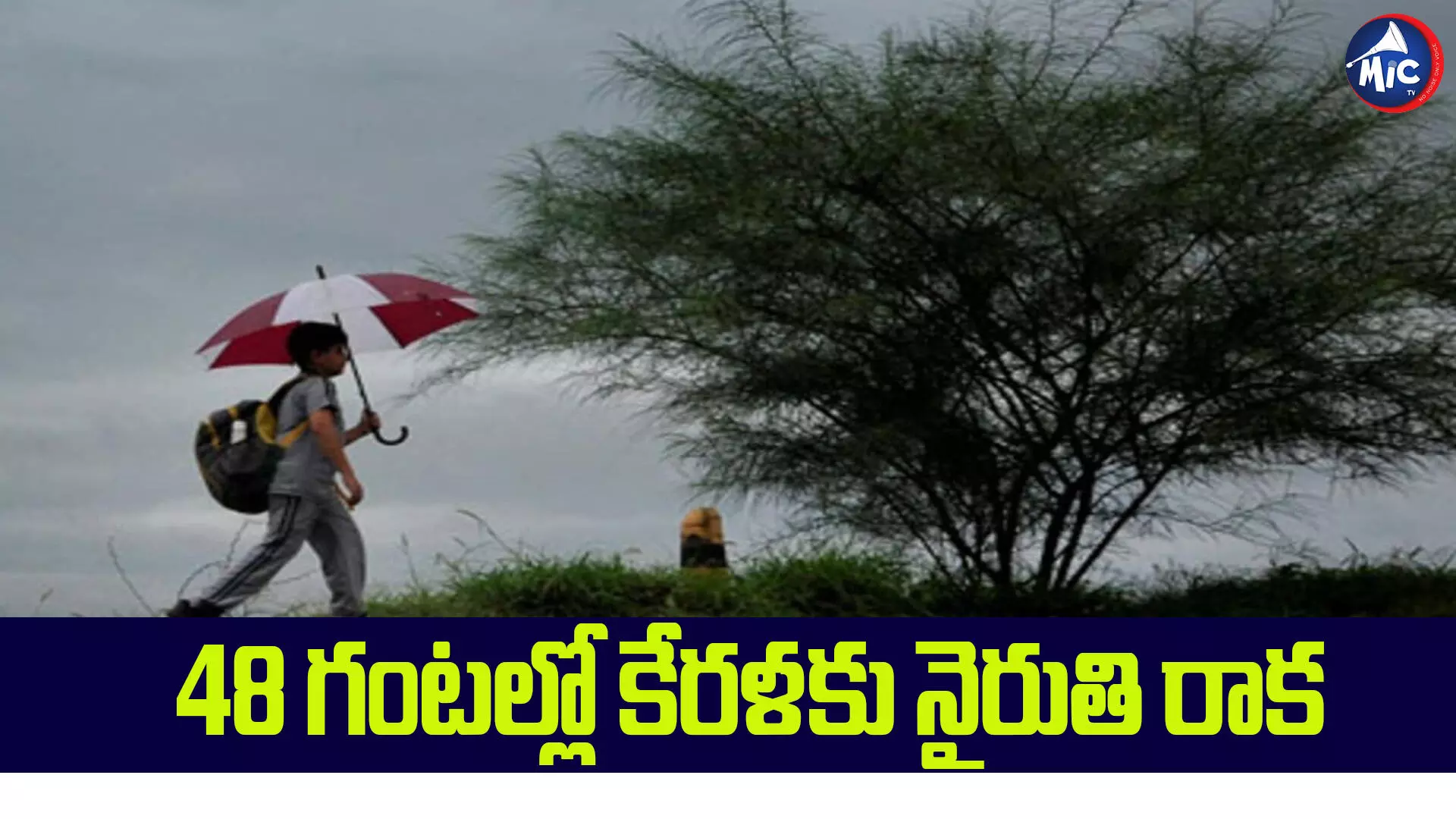 వాతావరణం అప్⁬డేట్: రానున్న 48 గంటల్లో రుతుపవనాలు.. IMD అంచనా