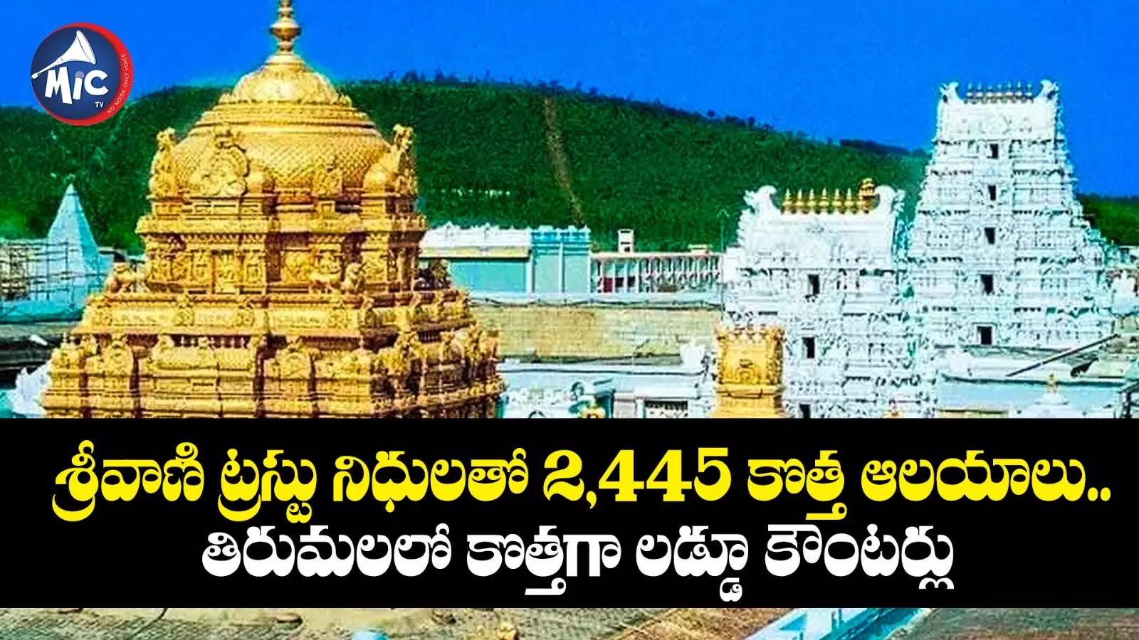 శ్రీవాణి ట్రస్టు నిధులతో 2,445 కొత్త ఆలయాలు.. తిరుమలలో కొత్తగా లడ్డూ కౌంటర్లు