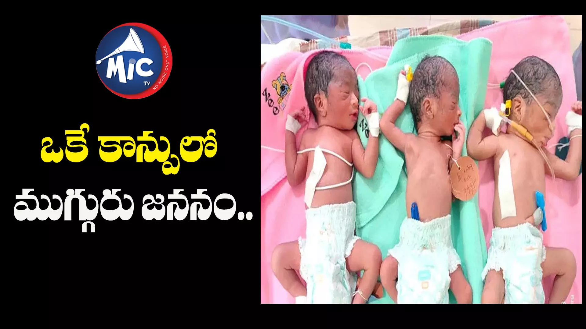 ఒకే కాన్పులో ముగ్గురు జననం..ఆమెకు 10 మంది సంతానం..!