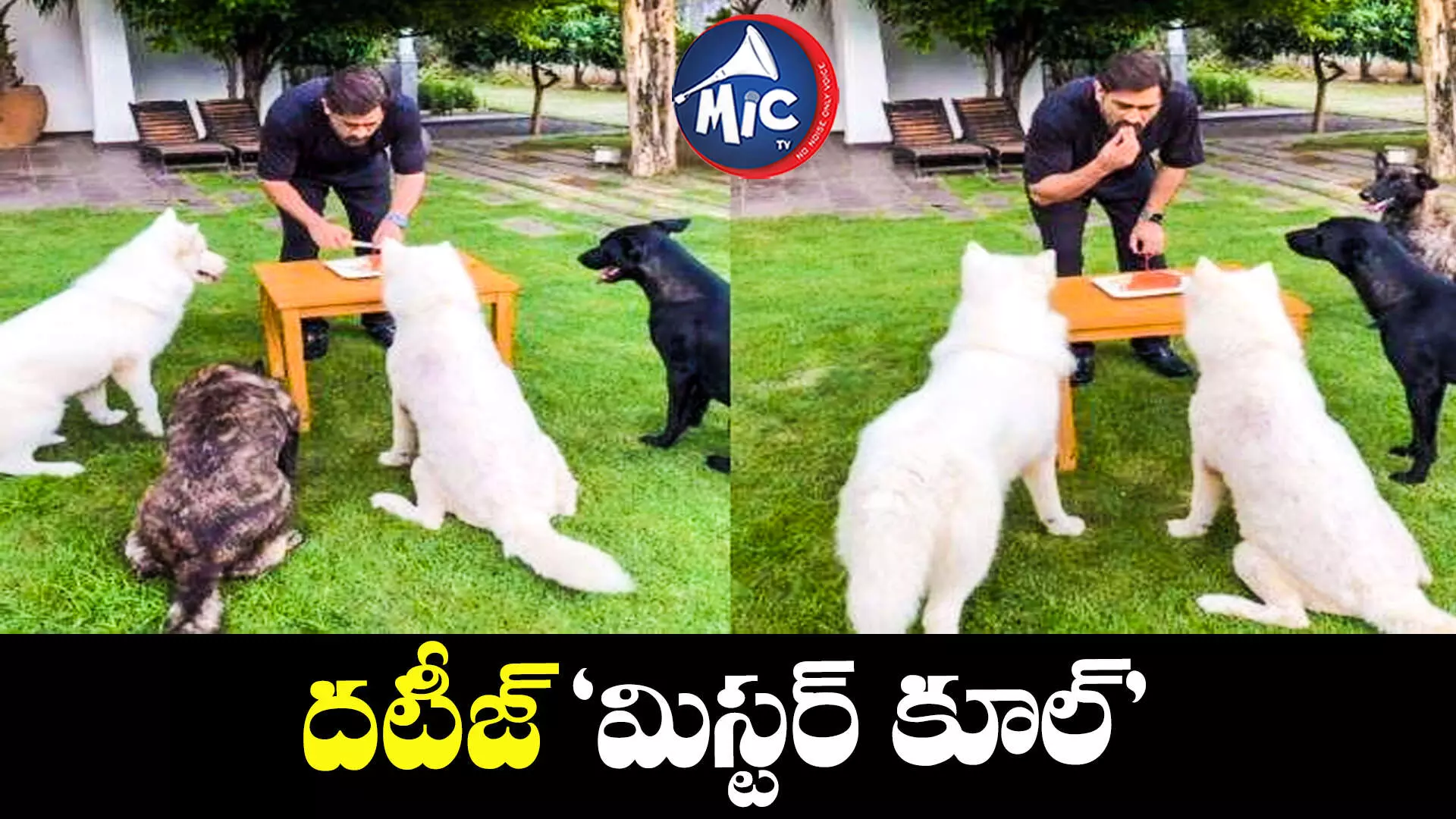 ధోని బర్త్ డే సెలబ్రేషన్స్...చూస్తే ఆశ్చర్యపోవాల్సిందే.. వీడియో వైరల్