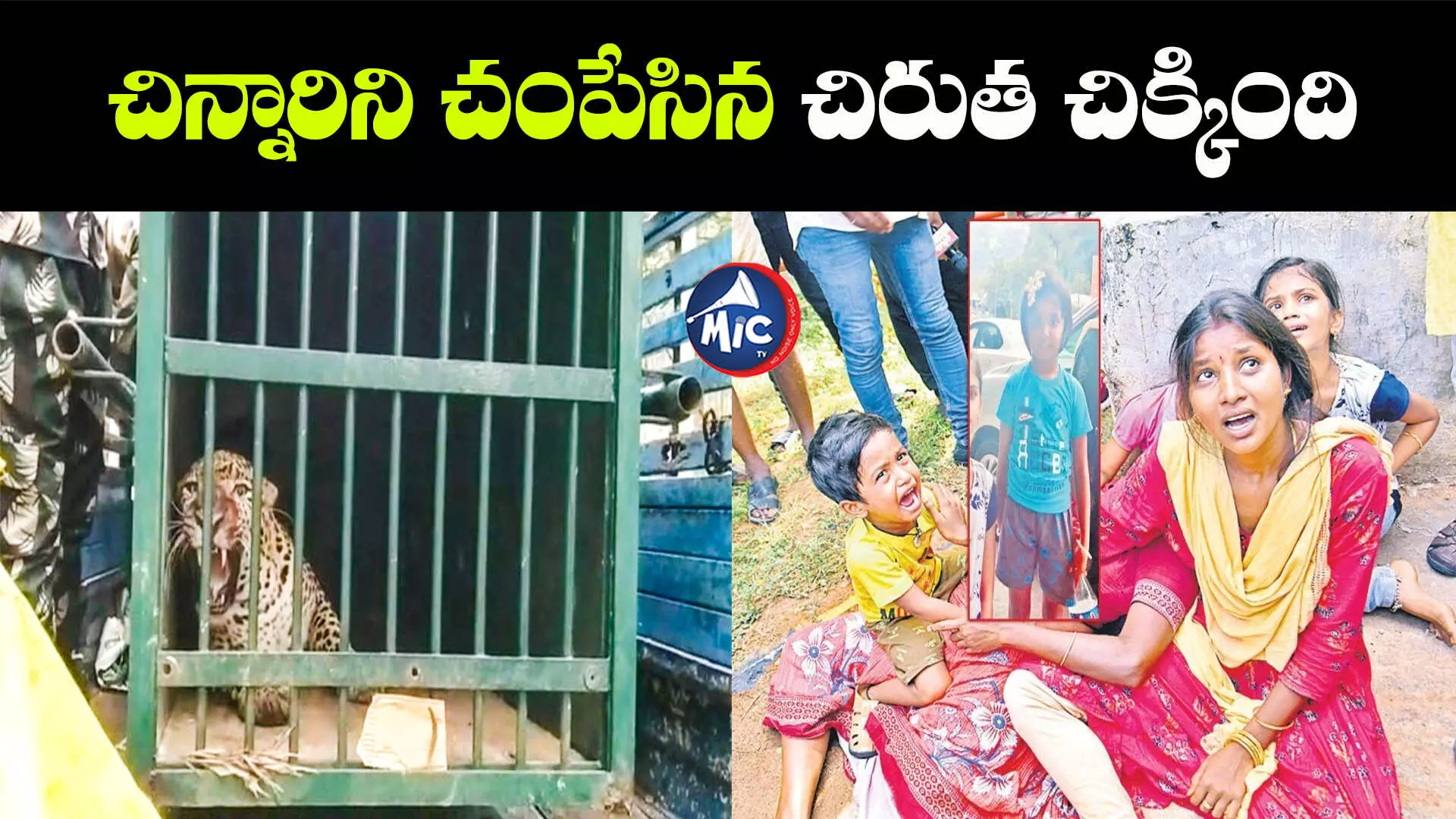 తిరుమల: అర్థరాత్రి వేళ బోనులో చిక్కిన చిరుత..