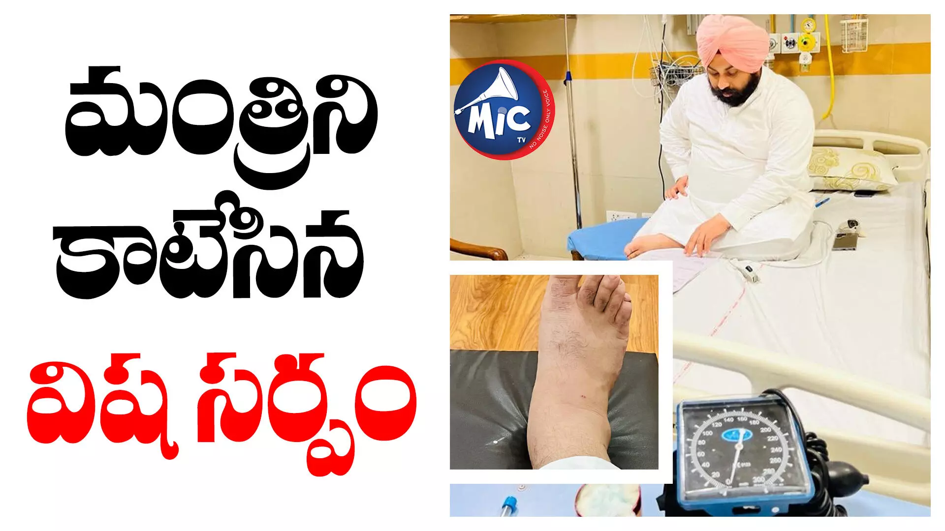 వరద బాధితులకు సాయం చేస్తున్న మంత్రిని కాటేసిన పాము..