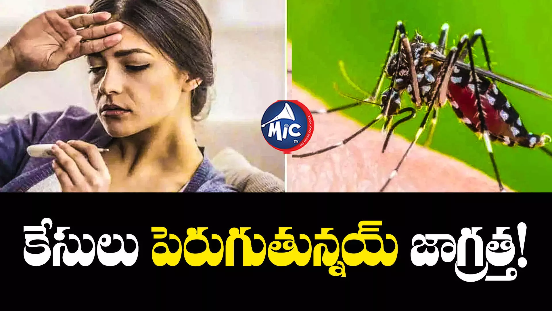 health updates : హైదరాబాద్⁬లో వేగంగా విస్తరిస్తున్న వ్యాధి!