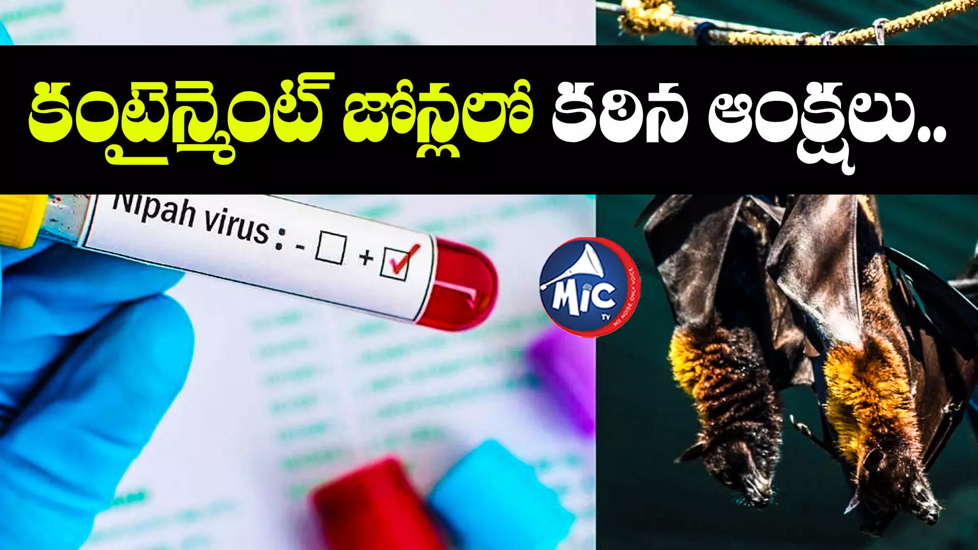 Nipah Virus : నిఫా కలకలం.. బ్యాంకులు, స్కూళ్లు బంద్..