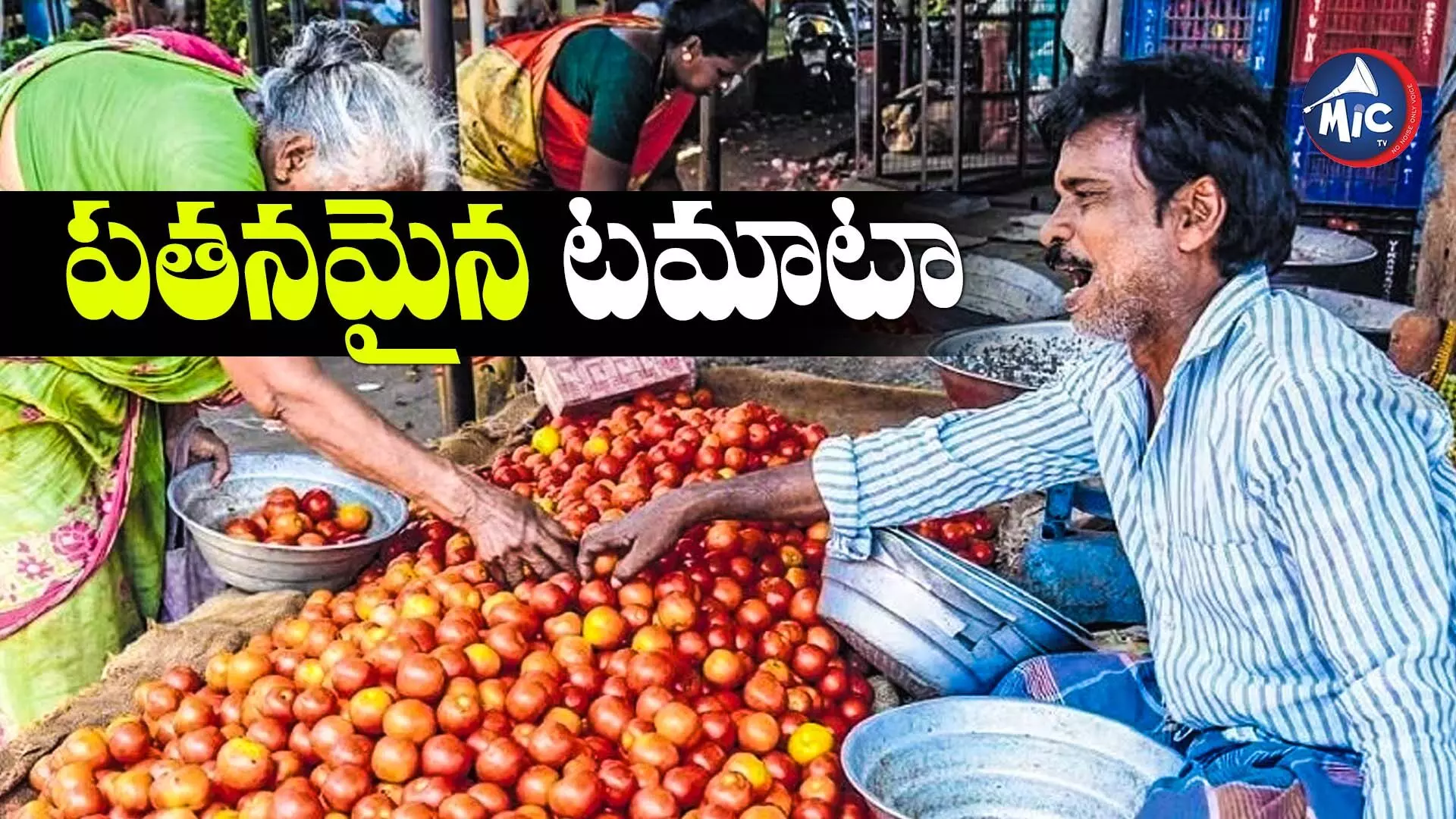 Tomato rate: పతనమైన టమాటా.. కిలో 50 పైసలే