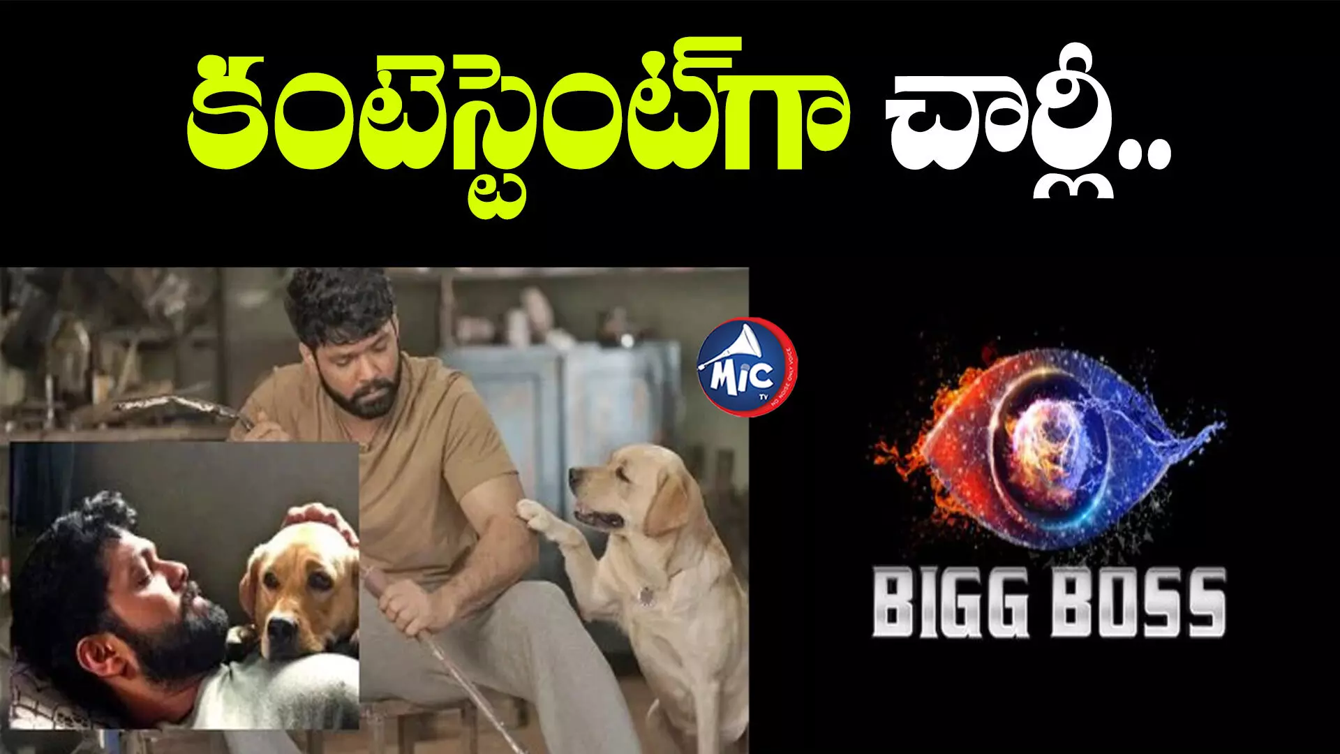 Biggboss: బిగ్⁬బాస్ చరిత్రలో తొలిసారి.. కంటెస్టెంట్⁬గా కుక్క