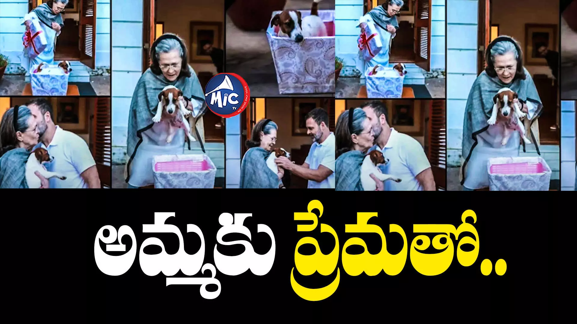 సోనియా గాంధీకి సర్⁬ప్రైజ్ గిఫ్ట్ ఇచ్చిన రాహుల్ గాంధీ