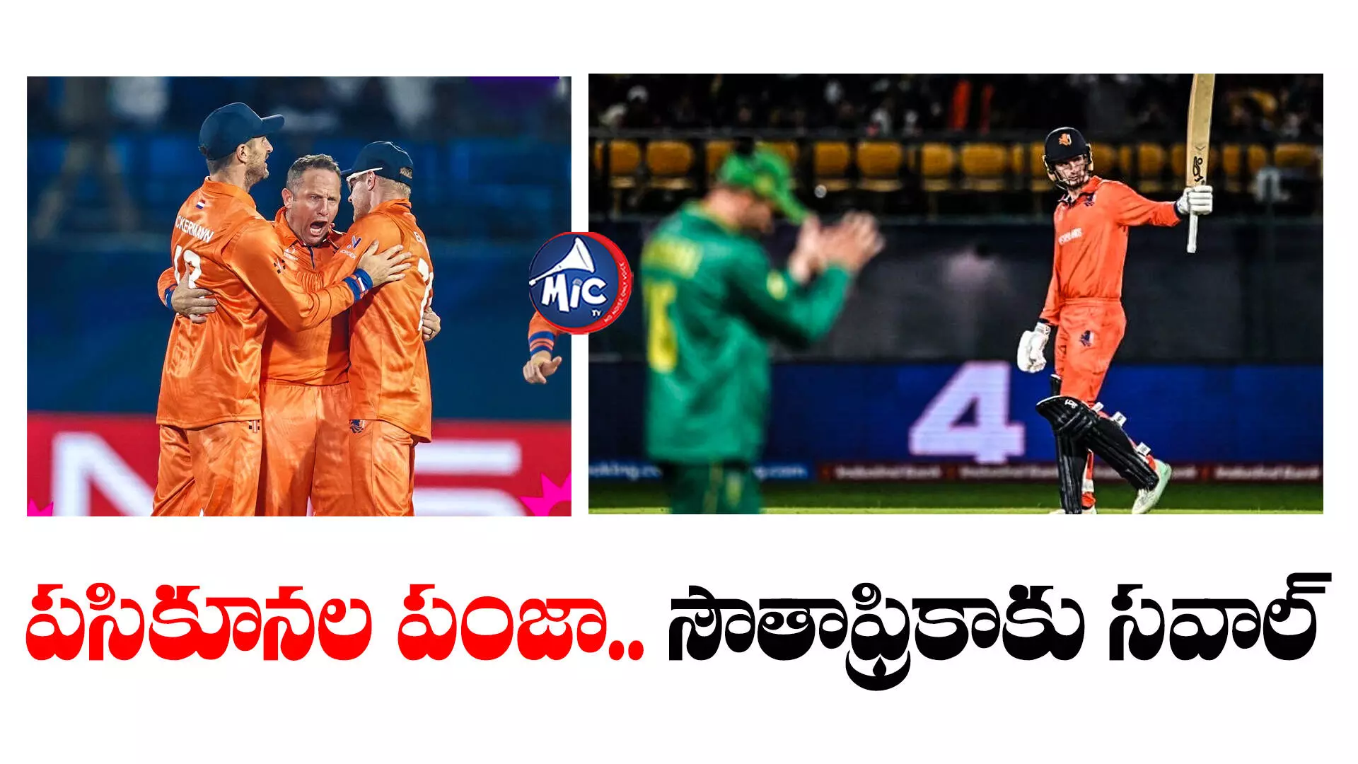 SA vs NED: ఎడ్వర్డ్ కెప్టెన్ ఇన్నింగ్స్.. నెదర్లాండ్స్ భారీ స్కోరు.. సౌతాఫ్రికా అప్పుడే?