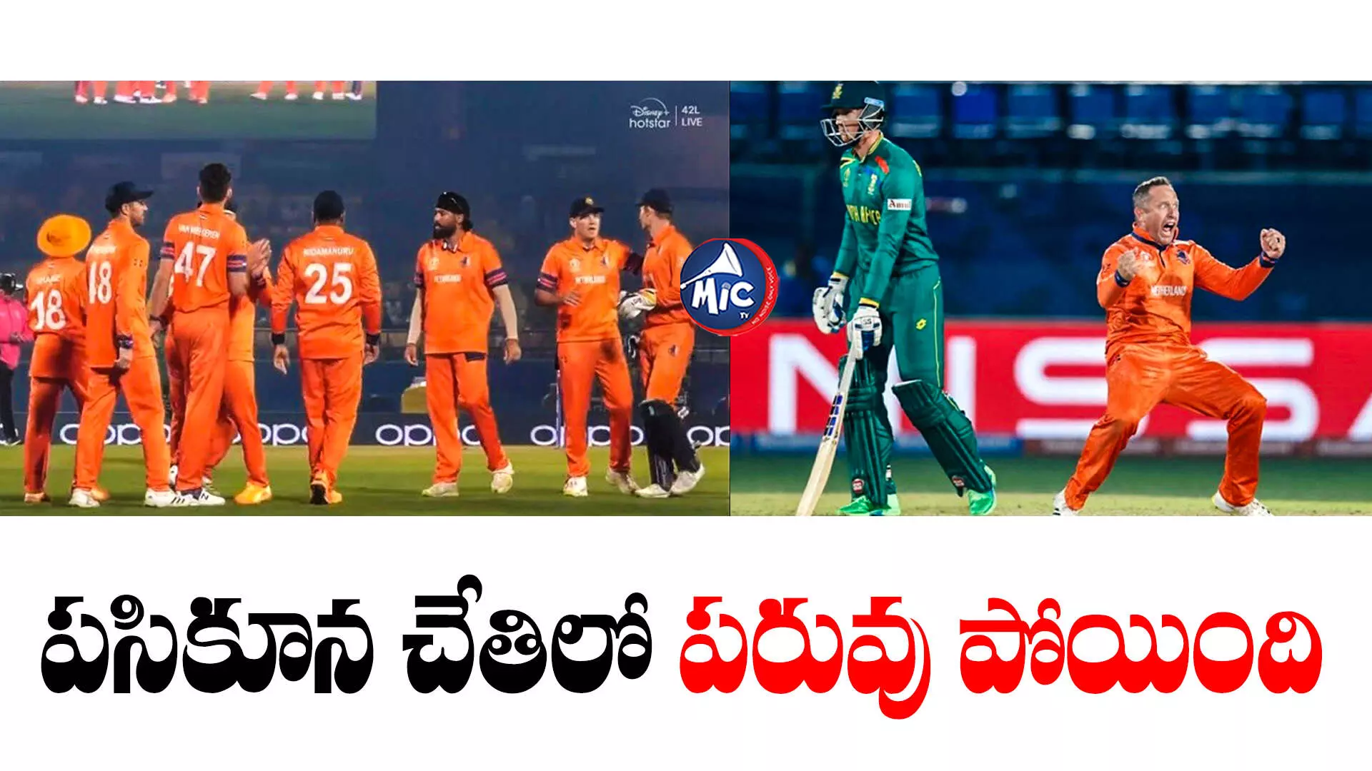 SA vs NED : పరువు పోగొట్టుకున్న సౌతాఫ్రికా.. చిత్తుగా ఓడిపోయి