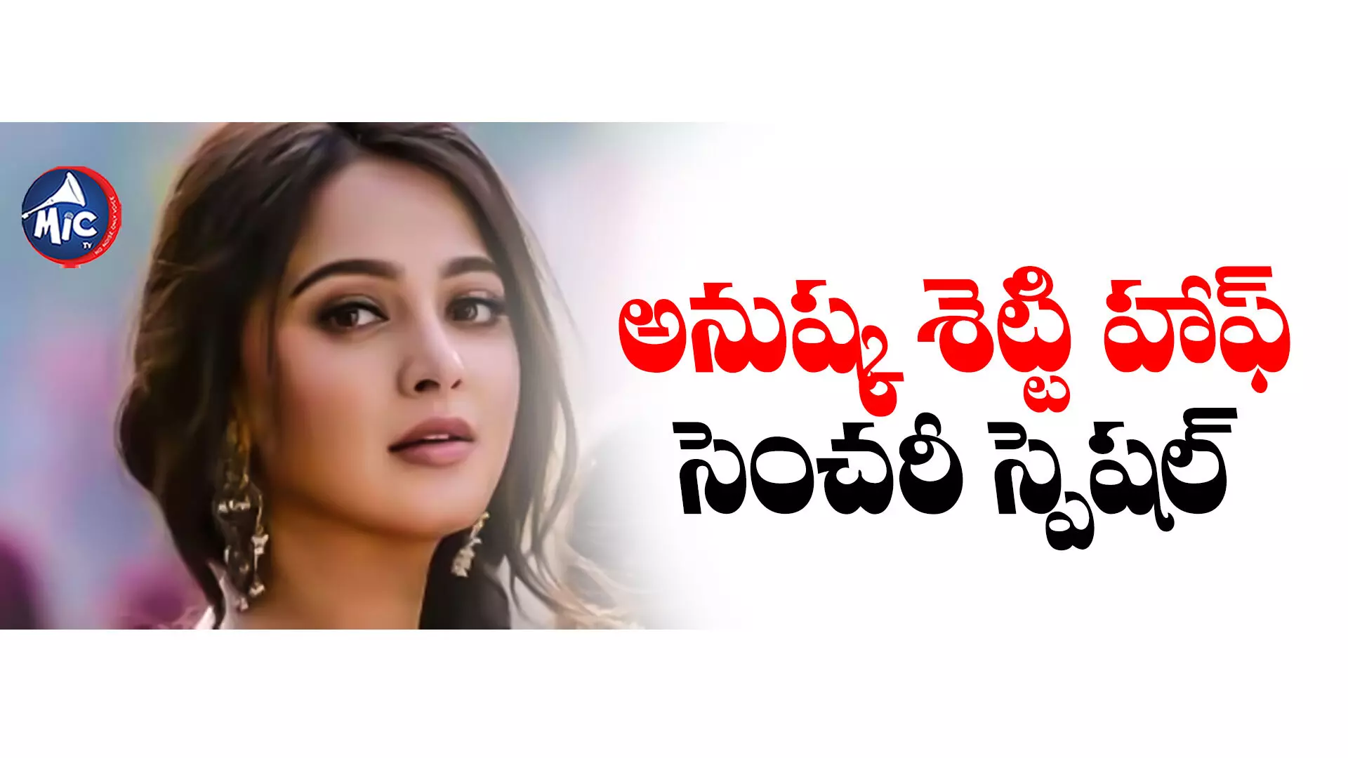 Anushka Shetty  : అనుష్క నెక్ట్స్ మూవీ ఏంటీ..?