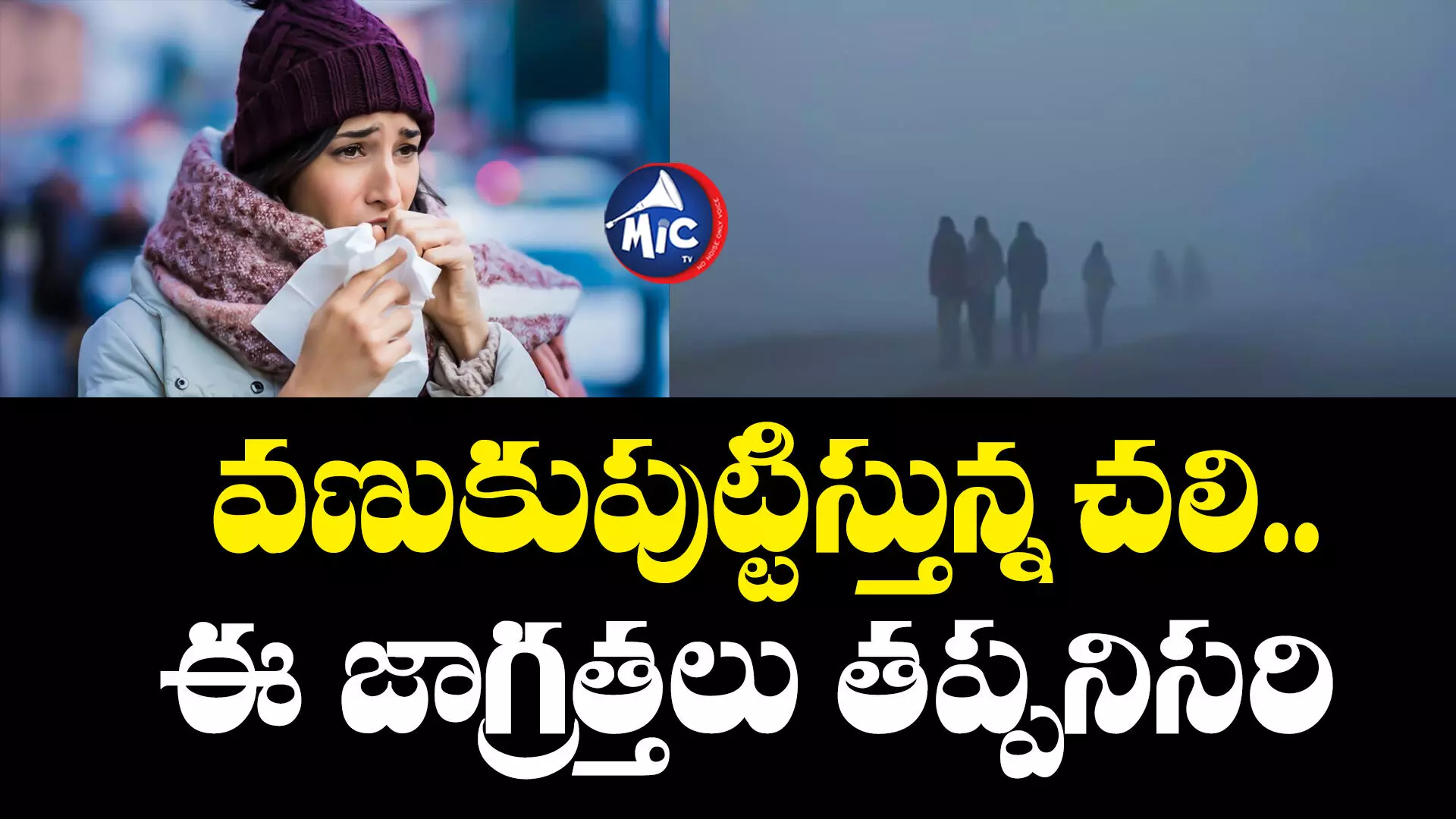 Winter Precautions  : చలికాలంలో ఈ జాగ్రత్తలు తీసుకోకపోతే..వెరీ డేంజర్