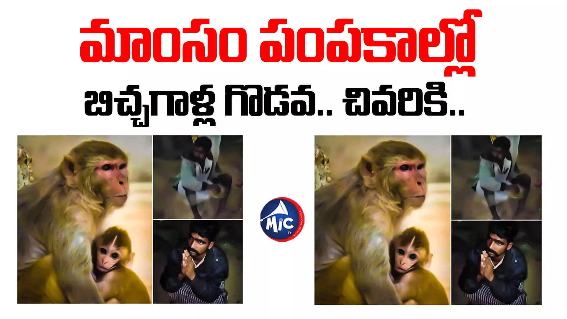 Bhainsa: ఘోరం.. కోతులను చంపి తిన్నారు.. ట్విస్ట్ ఏంటంటే..