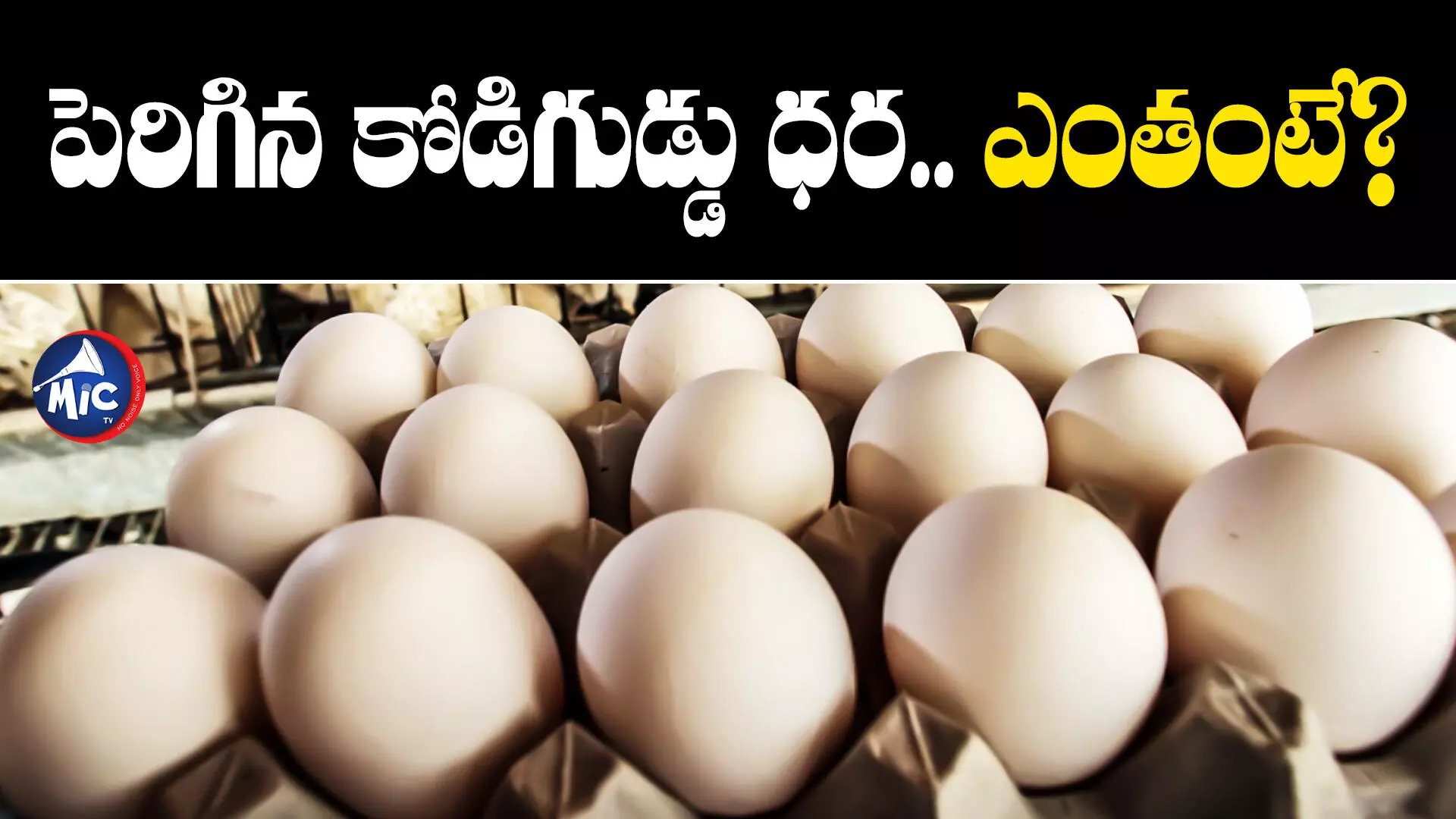 Egg Price In Telangana : పెరిగిన కోడిగుడ్డు ధర.. ఎంతంటే?