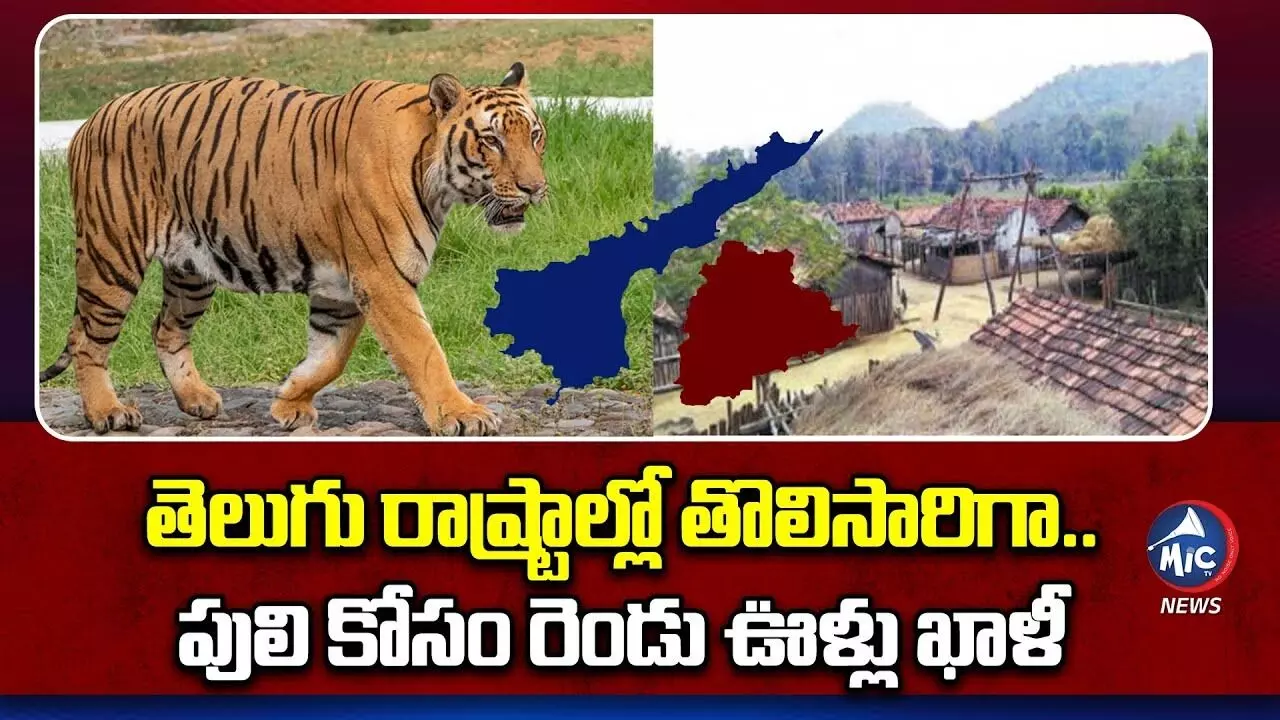 పులి కోసం రెండు ఊళ్లు ఖాళీ.. తెలుగు రాష్ట్రాల్లో తొలిసారిగా..