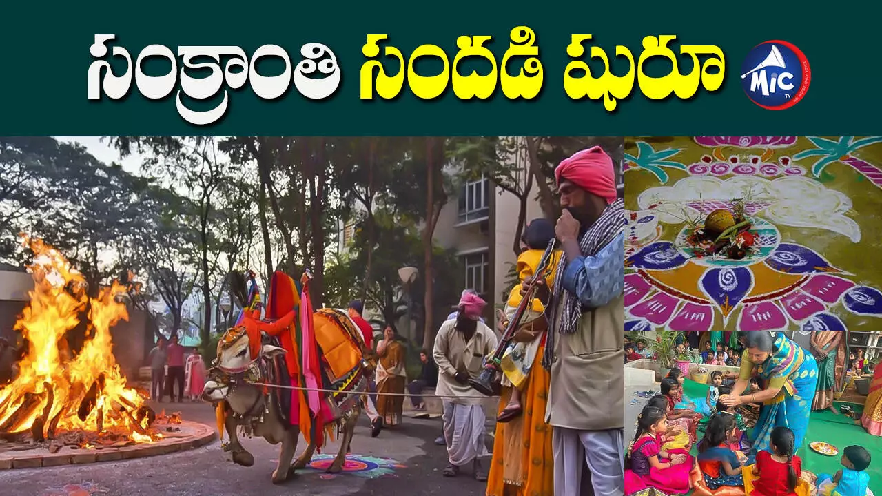 sankranthi Celebrations: రాష్ట్రవ్యాప్తంగా మొదలైన సంక్రాంతి సంబరాలు