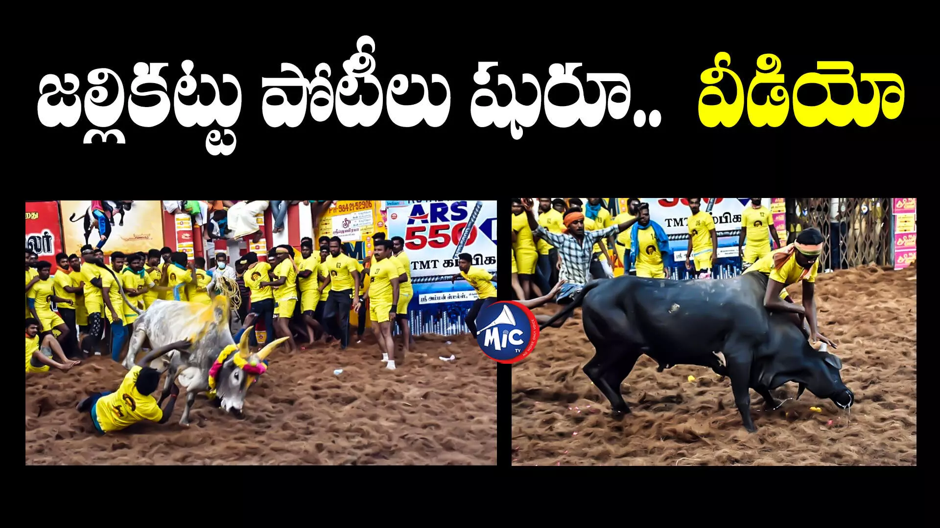 Jallikattu:తమిళనాడులో అట్టహాసంగా ప్రారంభమైన జల్లికట్టు పోటీలు