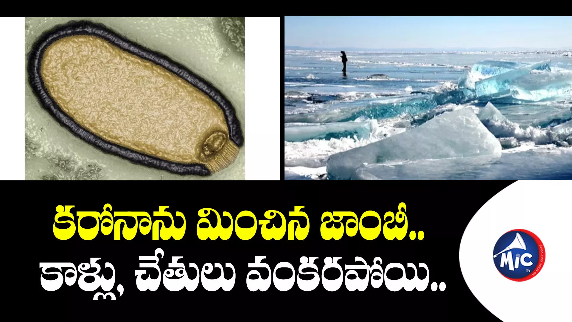 Zombie Virus : ప్రపంచానికి మరో వైరస్ ముప్పు.. ఒక్కసారి సోకిందంటే..