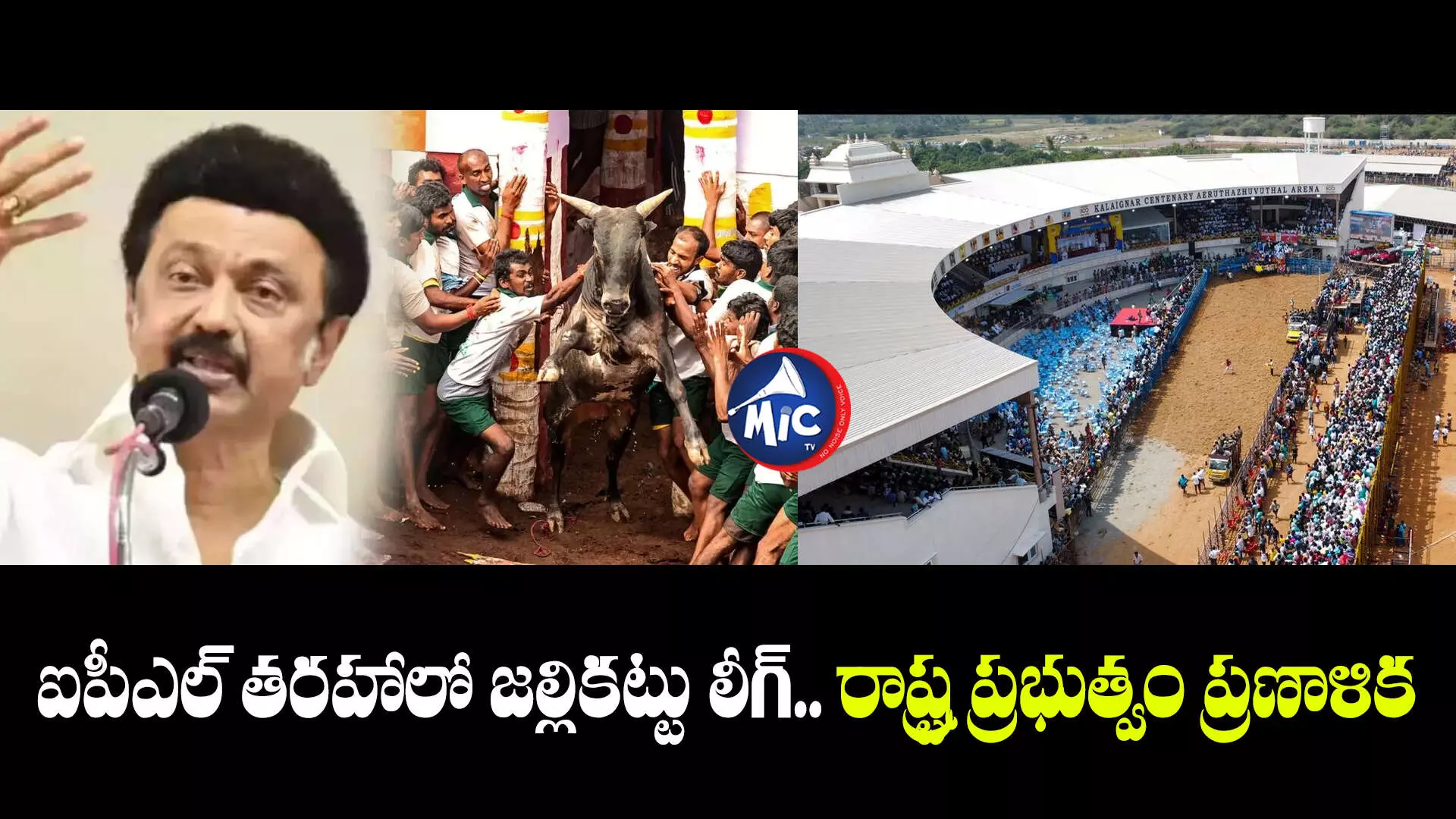 Jallikattu : ఐపీఎల్‌ తరహాలో జల్లికట్టు లీగ్‌.. రాష్ట్ర ప్రభుత్వం ప్రణాళిక