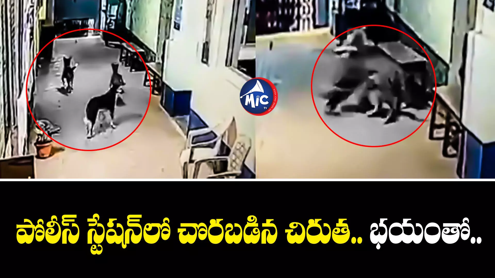 Leopard Police Station  : పోలీస్ స్టేషన్⁬లో చొరబడిన చిరుత.. తర్వాత ఏం జరిగిందంటే..?