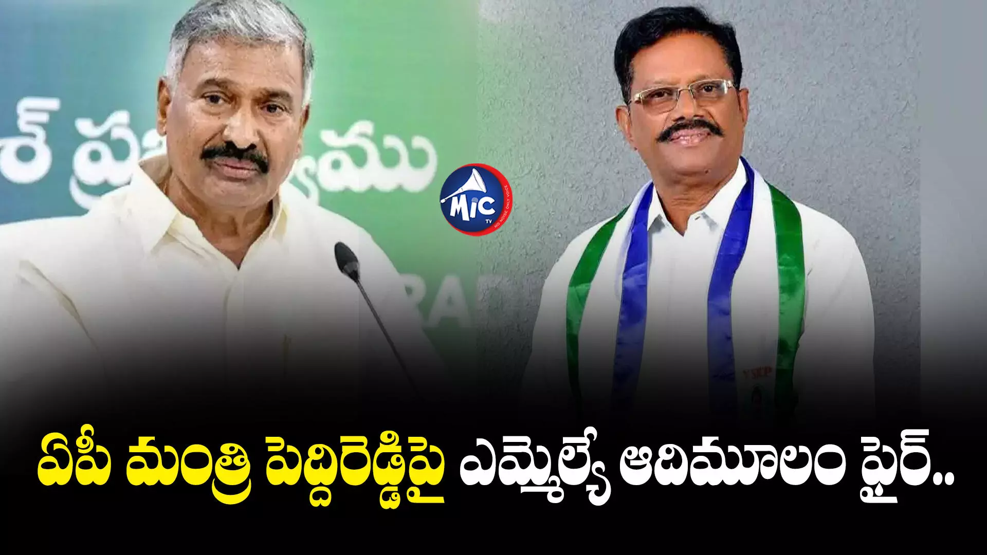 Peddireddy  : వైసీపీలో ఎస్సీలకు సరైన గౌరవం లేదు