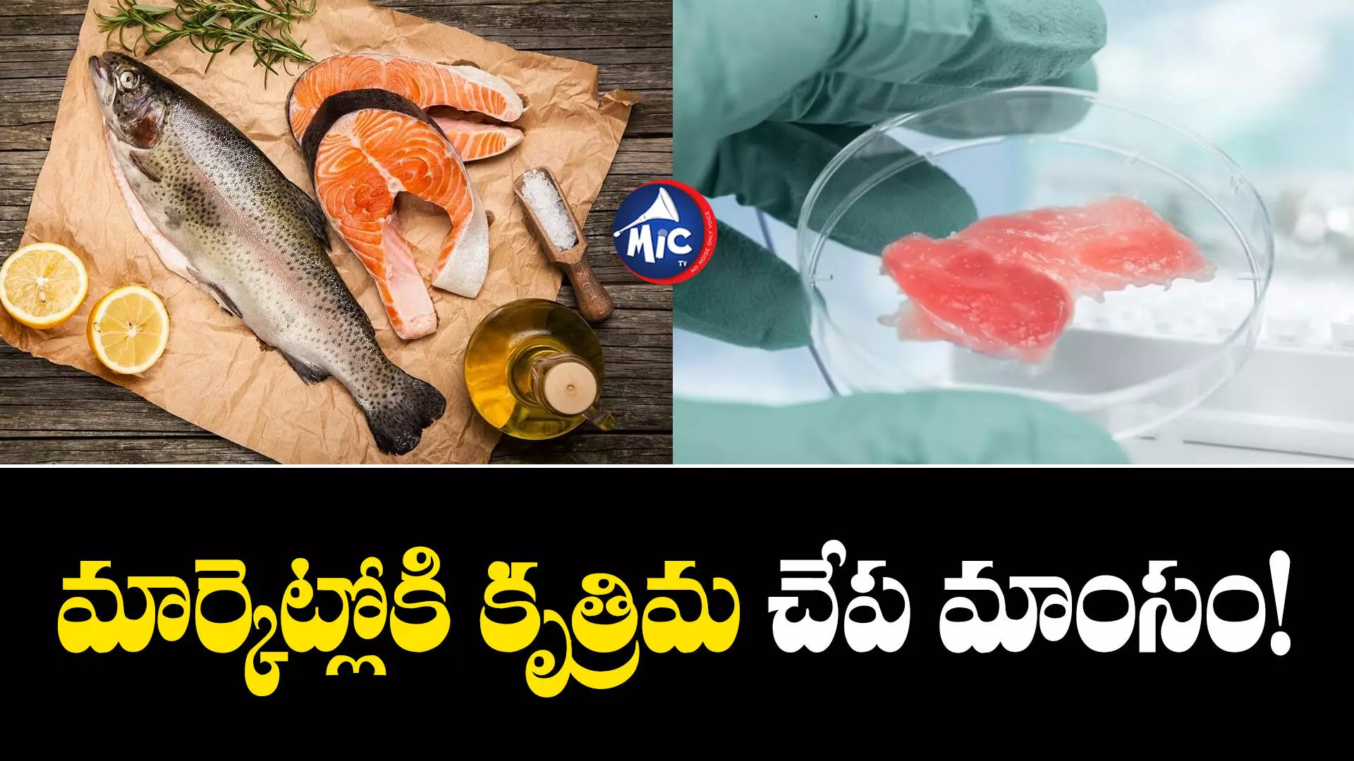 Artificial Fish Meat  : ఇక ల్యాబ్‌లో చేపల మాంసం తయారీ