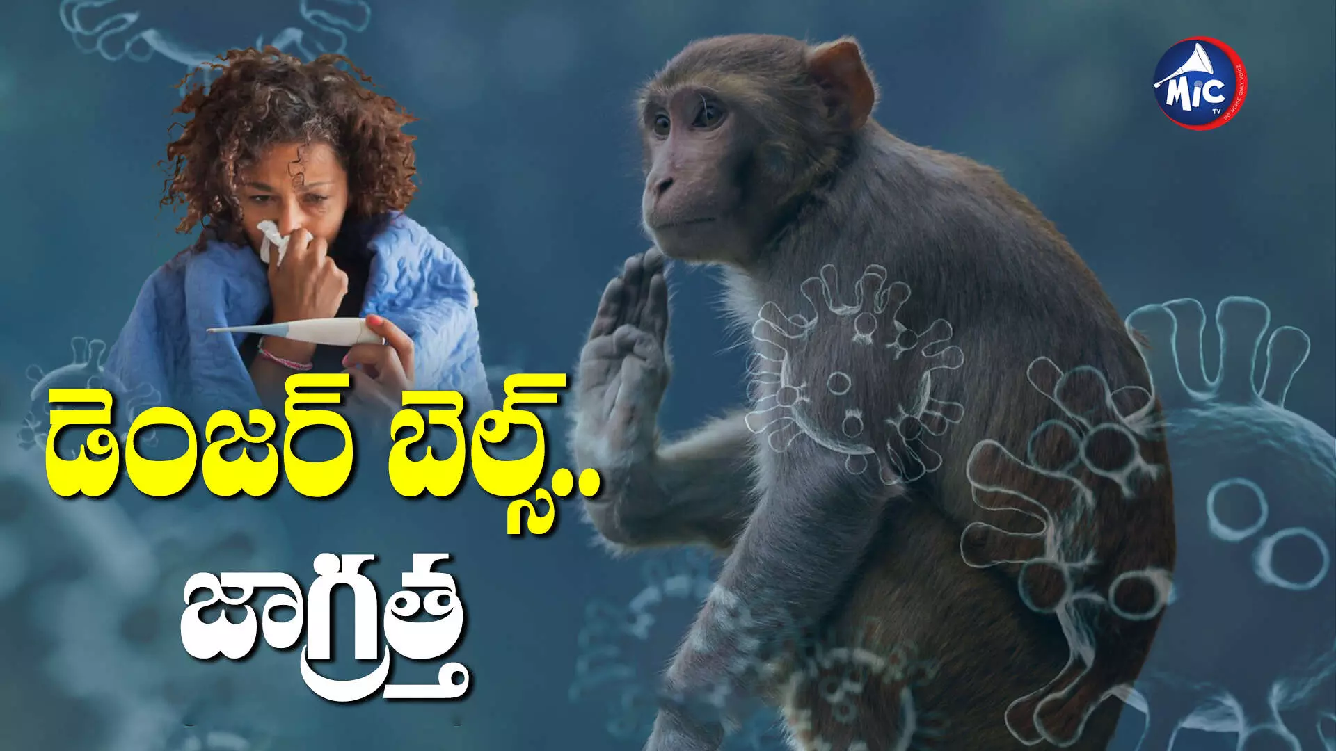 Monkey Fever : కర్ణాటకను వణికిస్తున్న మంకీ ఫీవర్...ఇద్దరు మృతి