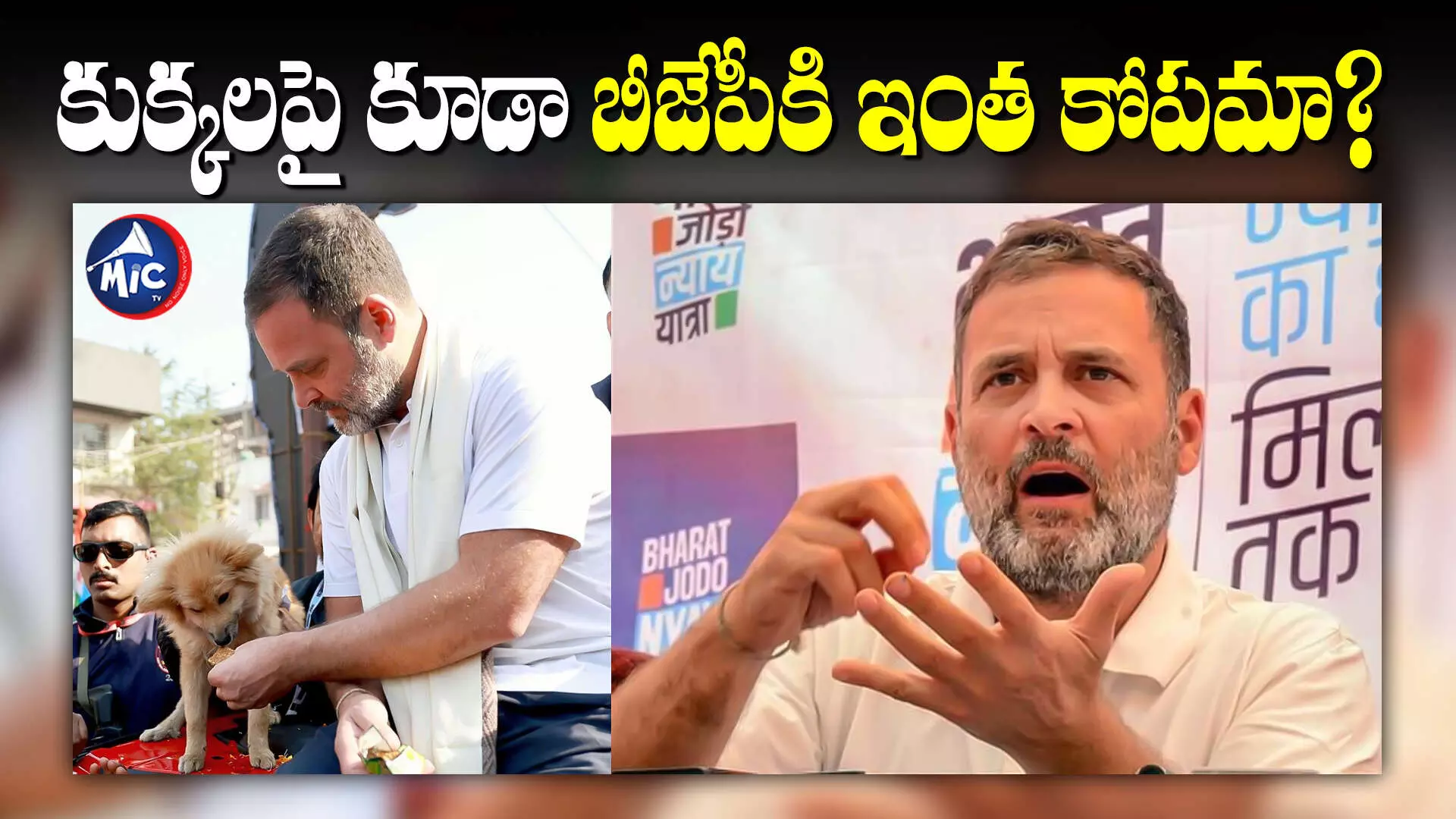 Rahul Gandhi:కుక్కకి బిస్కట్లు తినిపించడంలో బీజేపీకి వచ్చిన ఇబ్బందేంటి..