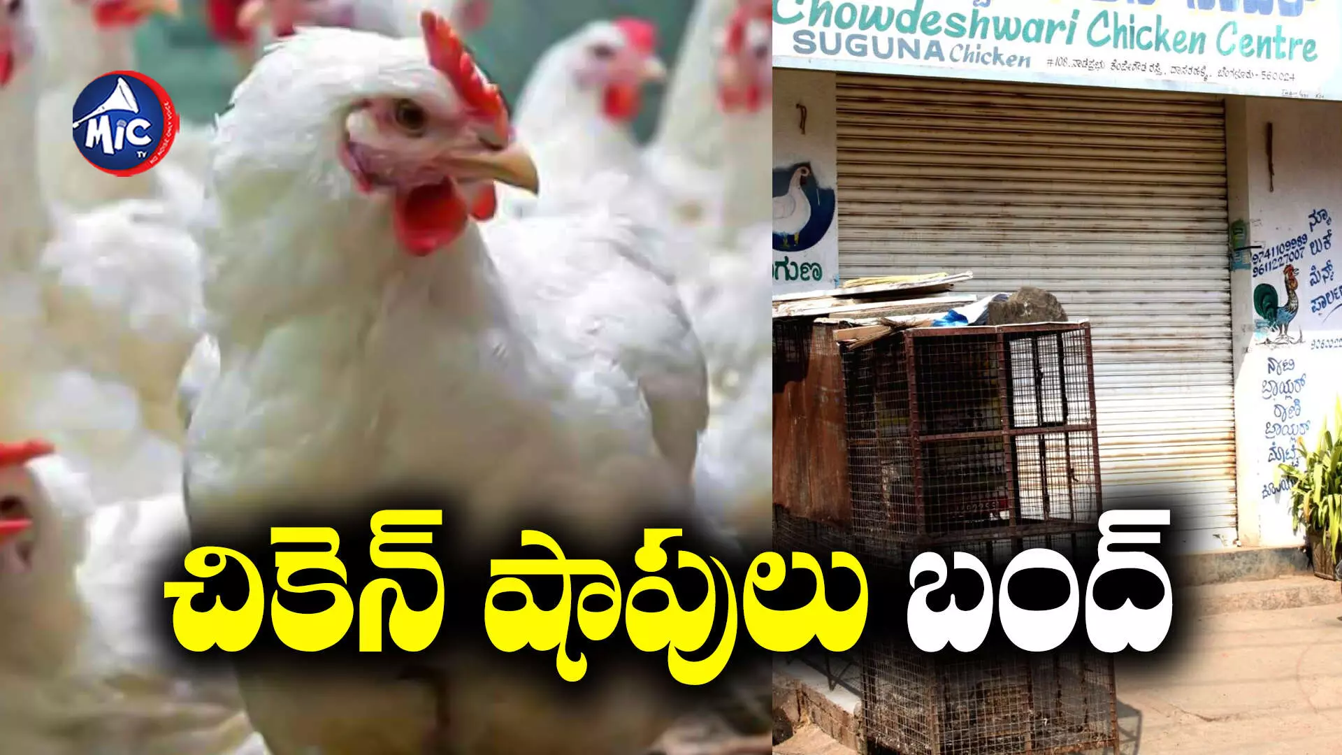 Bird flu : శరవేగంగా విస్తరిస్తున్న బర్డ్ ఫ్లూ..చికెన్ తింటే అంతేనట!