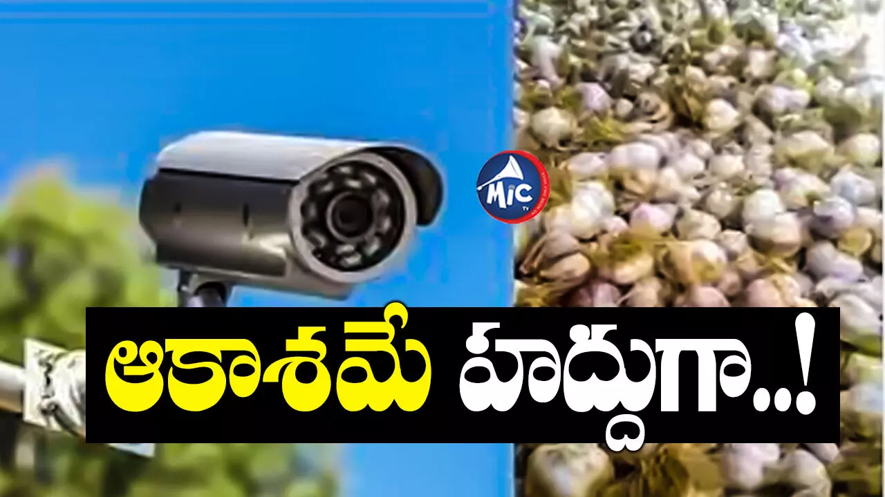 Garlic : ఆకాశాన్ని అంటుతున్న అల్లం, వెల్లుల్లి ధరలు