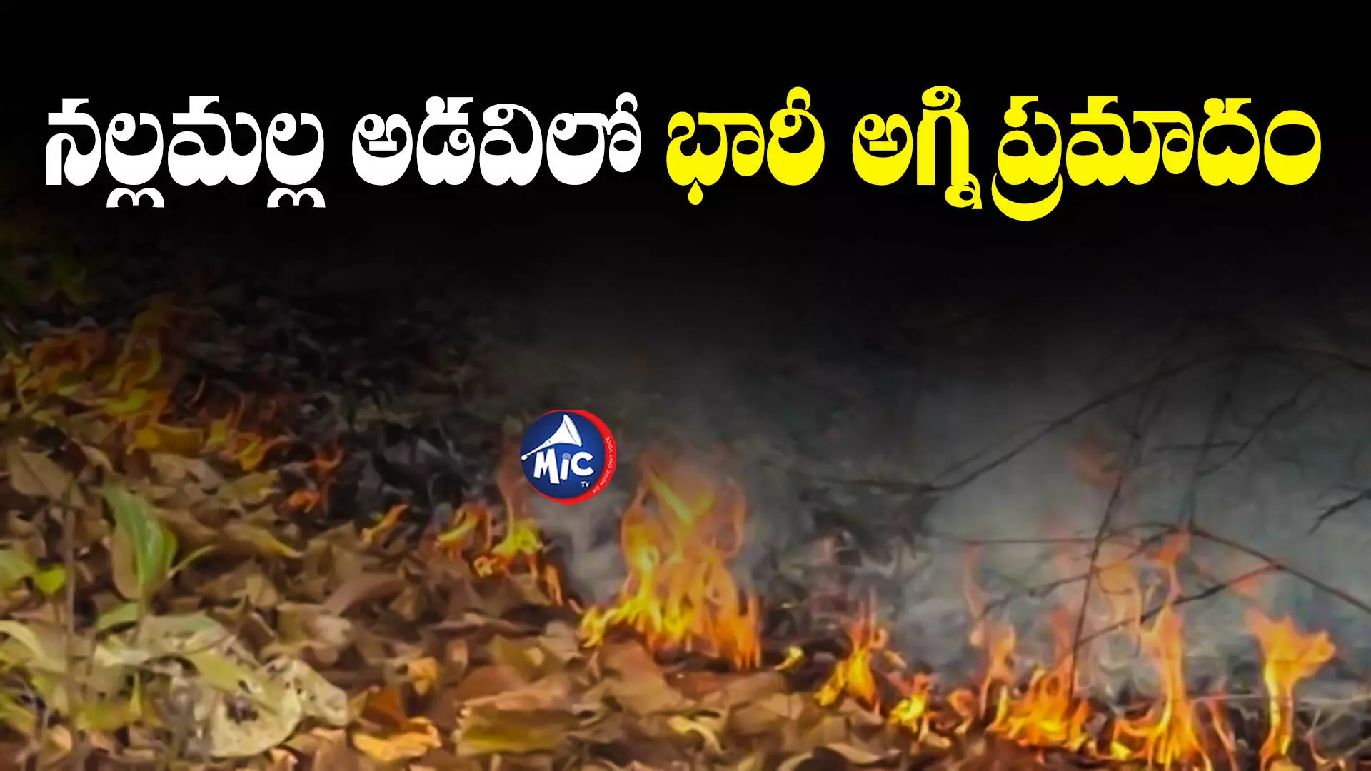 Nallamala Forest :  నల్లమల్ల అడవిలో భారీ అగ్ని ప్రమాదం