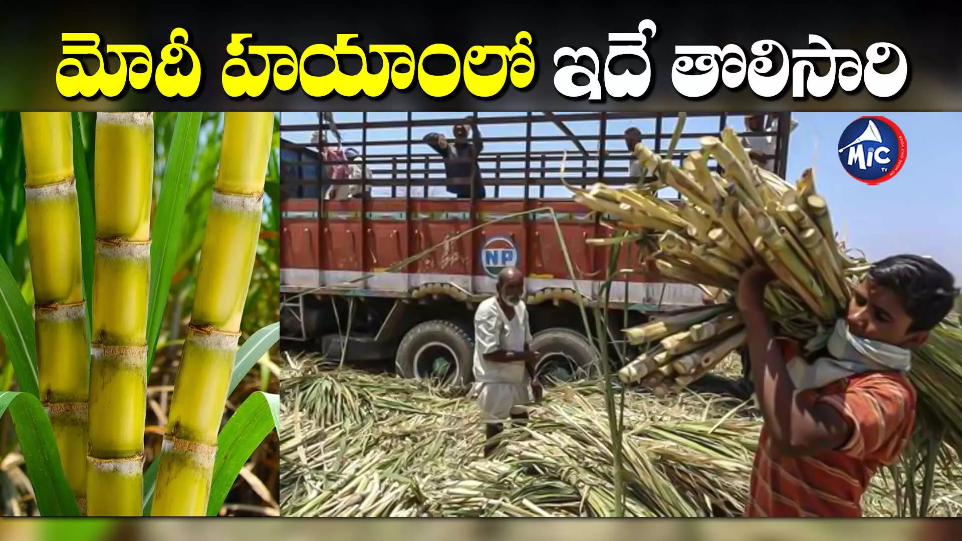 Sugarcane: చెరుకు రైతులకు మోదీ సర్కార్ గుడ్ న్యూస్!