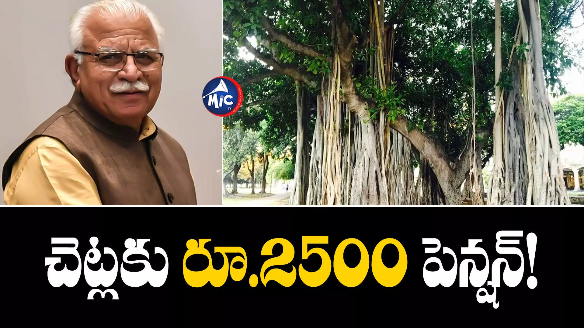 Haryana Government : చెట్లకు పెన్షన్‌ ఇస్తోన్న ప్రభుత్వం..ఎక్కడంటే